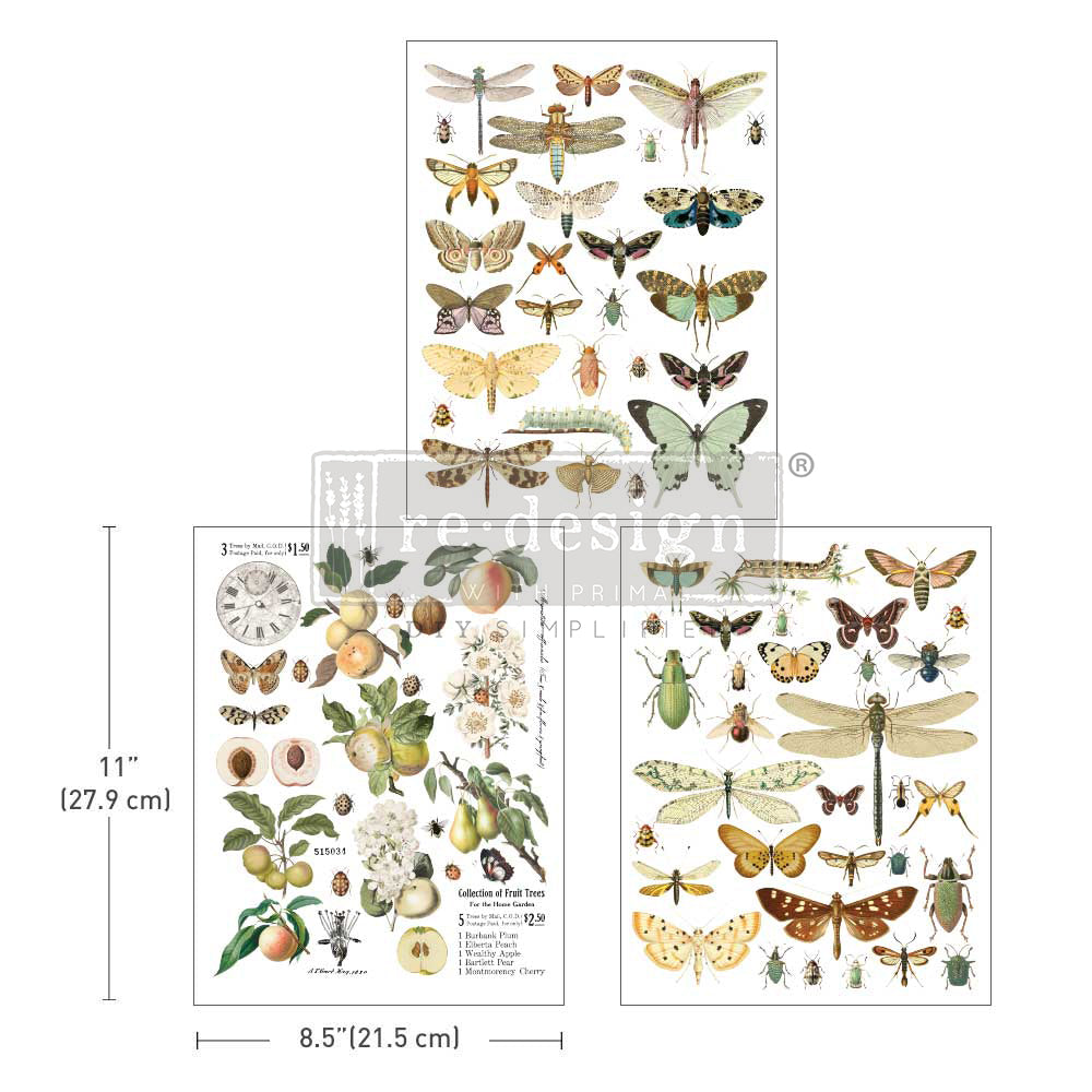 Redesign Middy Transfer – Bug Whisperer - 3 sheets, 8.5"x11"