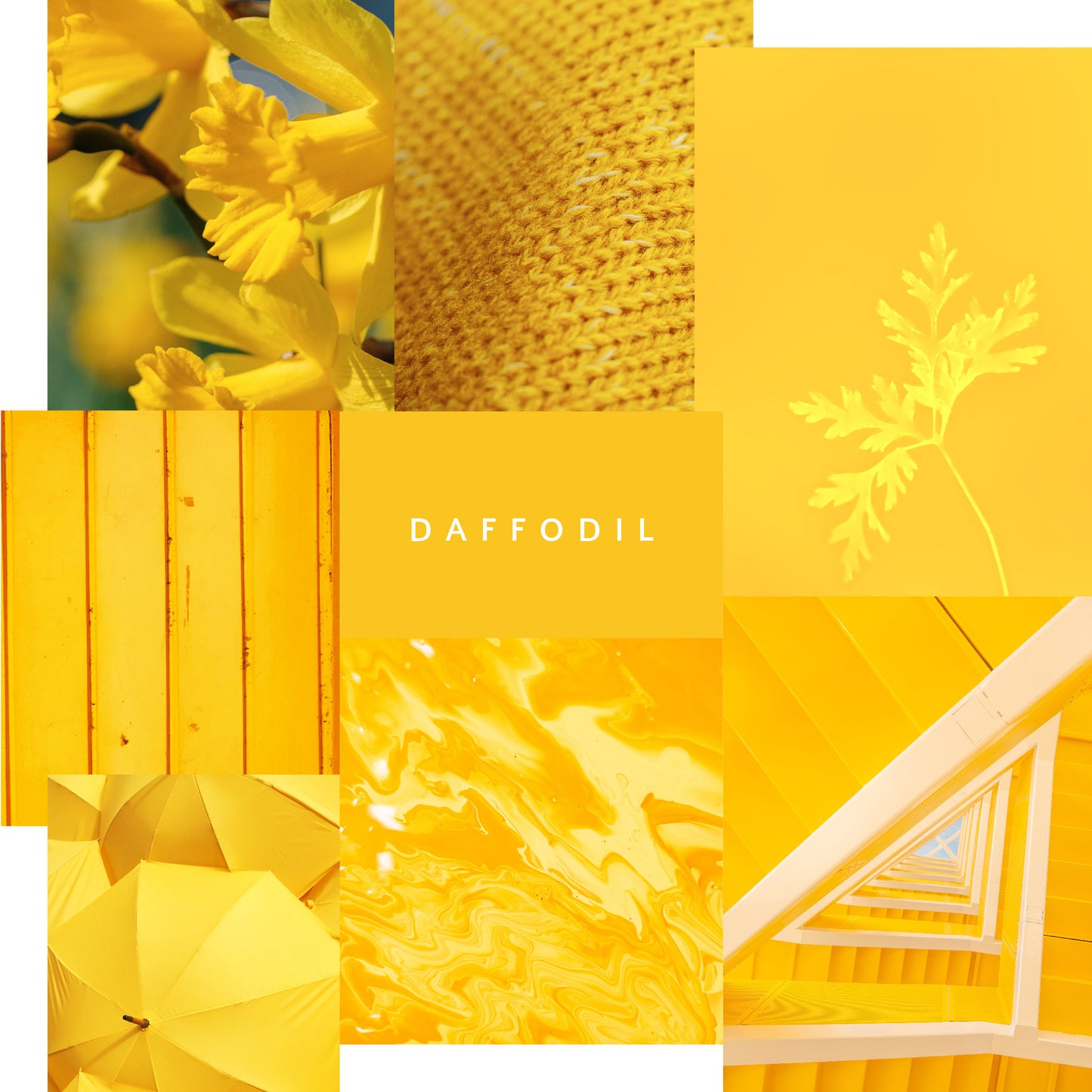 Artisan Daffodil Mineral Paint