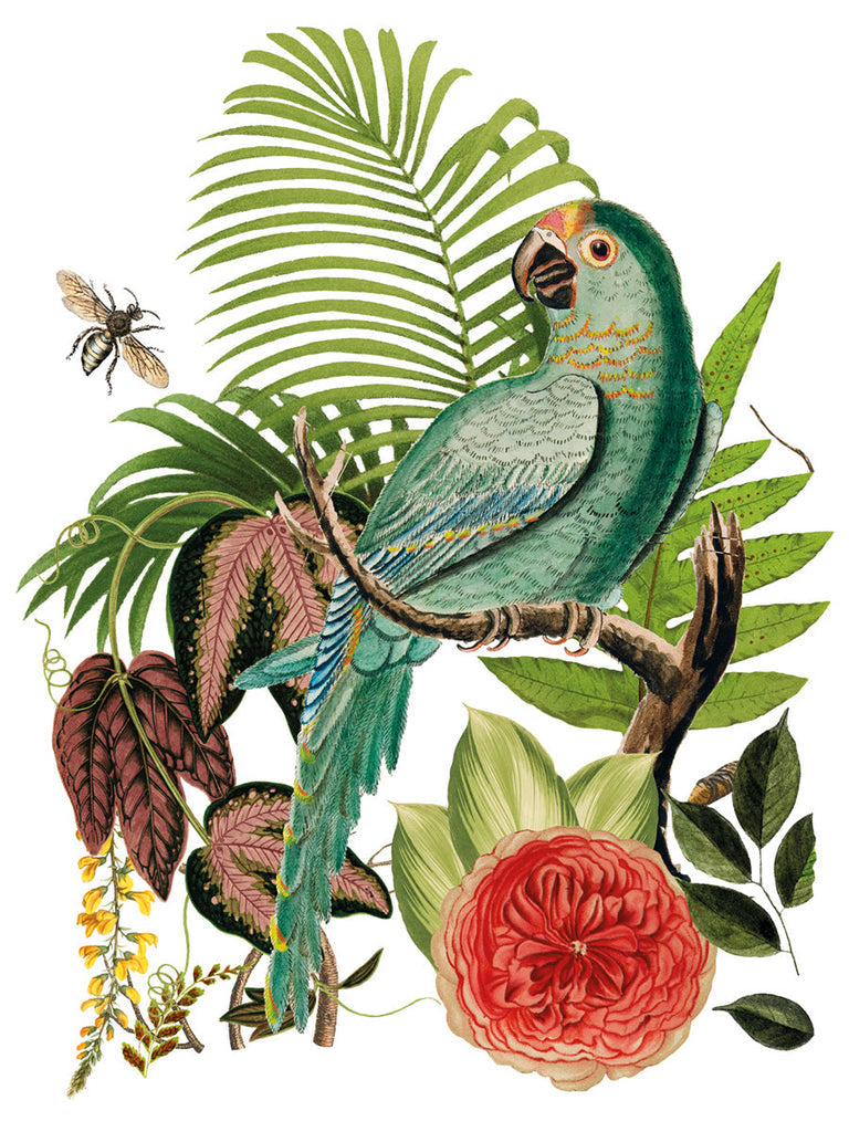 IOD - Bungalow Decor Transfer