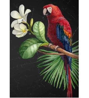 Parrot Decoupage Paper