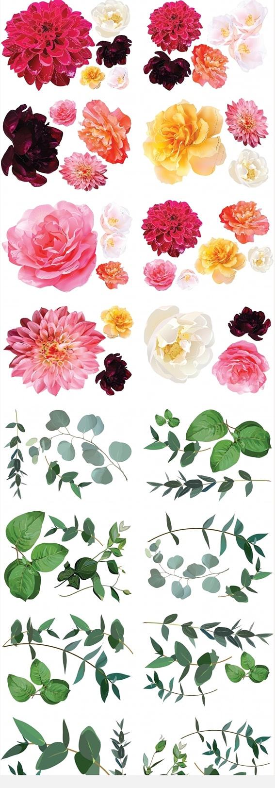 Splendid Flora transfer