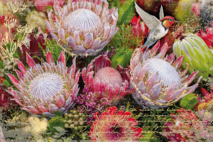 Hokus Pokus Decor Weaves