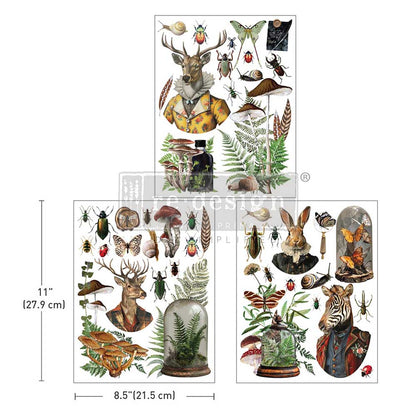 Redesign Middy Transfers - Ephemera Enclave - 3 sheets, 8.5" x 11"