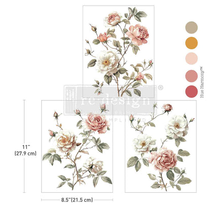 Redesign Middy Transfers – Creamy Blush Blooms – 3 sheets, 21.59cm x 27.94cm