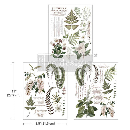 Redesign Middy Transfers - Greenery Grace- 3 sheets, 8.5"x11"
