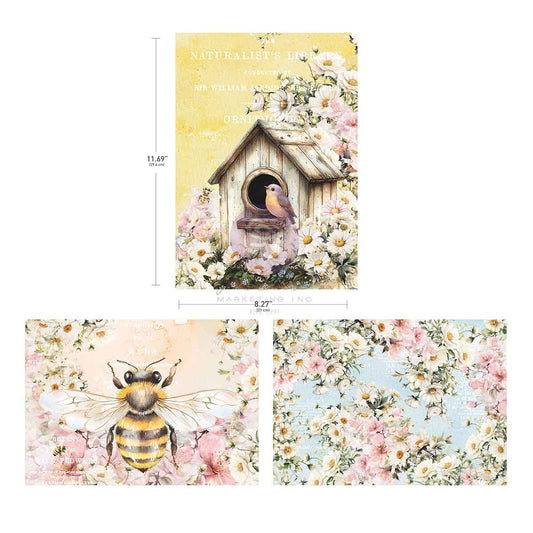 Redesign - Among the Wildflowers Collection A4 Decoupage  - 1 sheet, 21cm x 29.6cm (8.3″x11.7″)