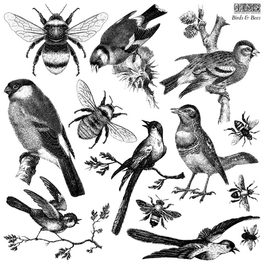 IOD - Birds & Bees Decor Stamp  12x12