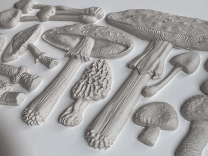 IOD - Toadstool  Decor Mould 6x10