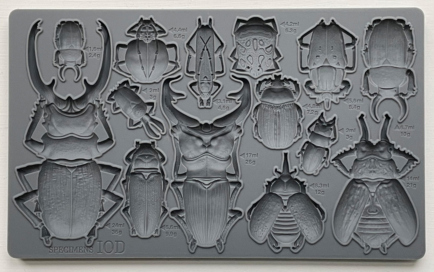 IOD - Specimens Decor Mould 6x10