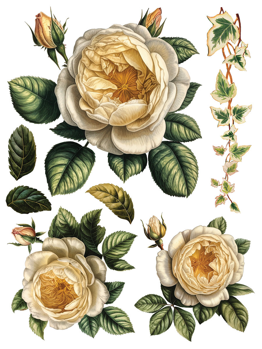 IOD | Collage de fleurs Transfer