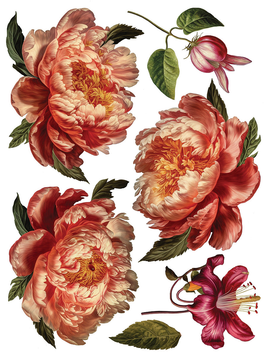 IOD | Collage de fleurs Transfer