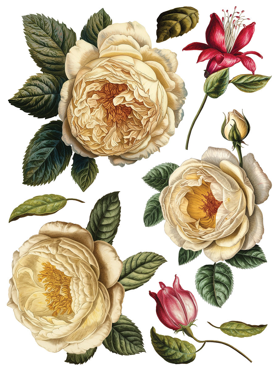 IOD | Collage de fleurs Transfer