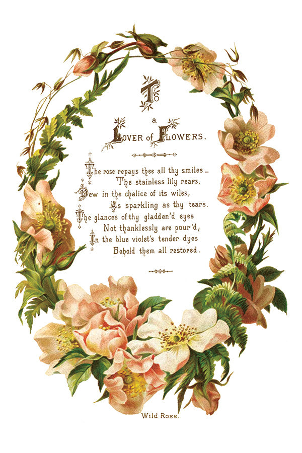 IOD | Lovers of Flowers Transfers