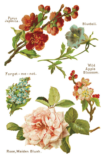 IOD - Lovers of Flowers Decor Transfer