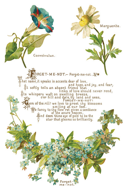 IOD - Lovers of Flowers Decor Transfer