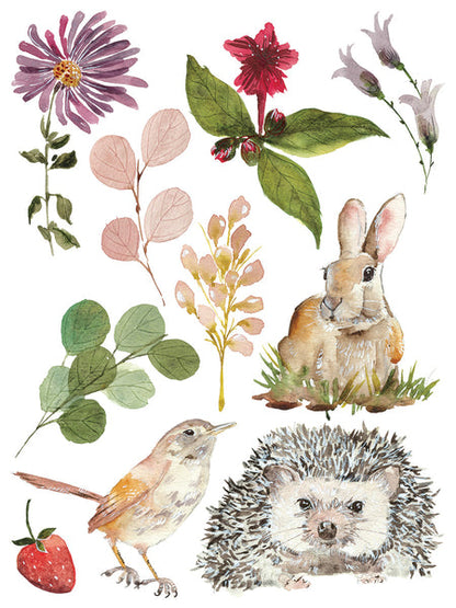 IOD - Whispering Willow Decor Transfer