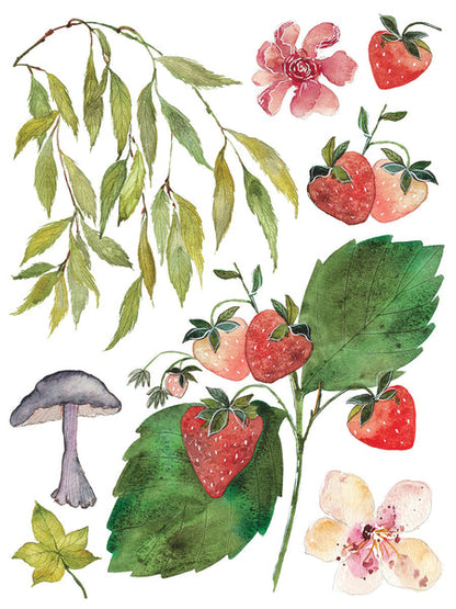 IOD - Whispering Willow Decor Transfer