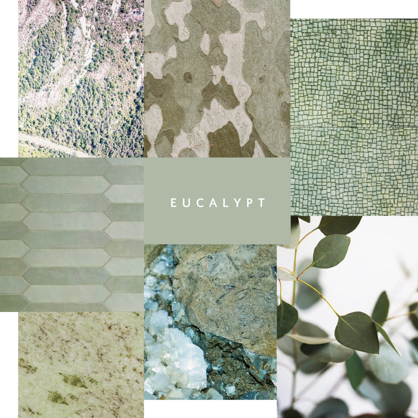 Artisan Eucalypt Mineral Paint