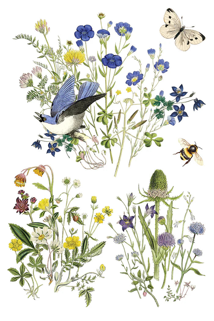 IOD - Flora Greca Decor Transfer  20.32cm x 30.48cm