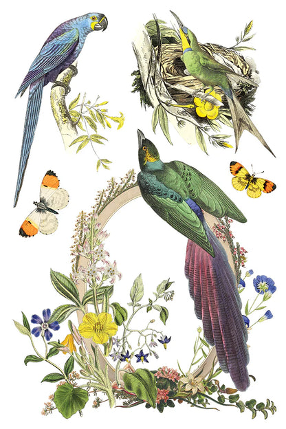 IOD - Flora Greca Decor Transfer  20.32cm x 30.48cm