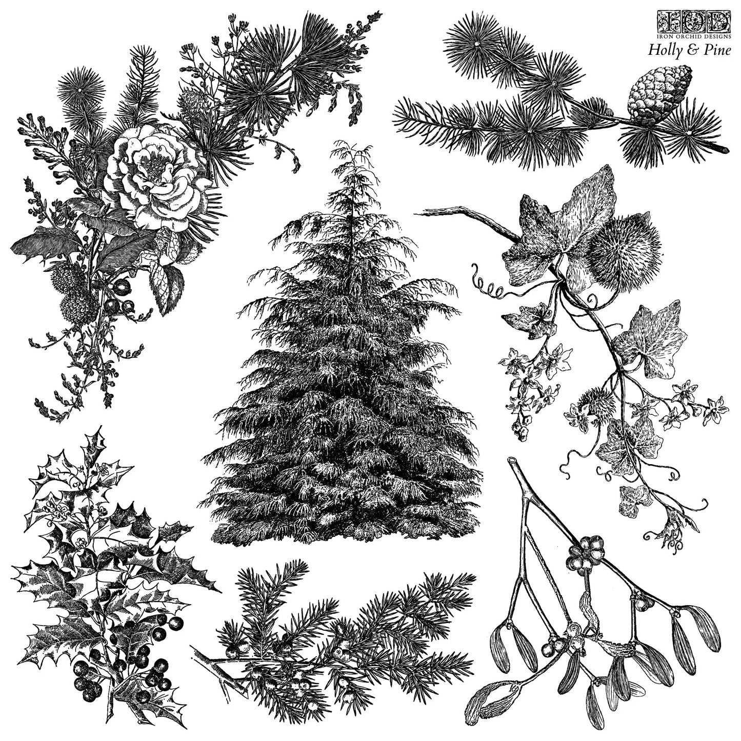 IOD - Holly & Pine Decor Stamp 12x12