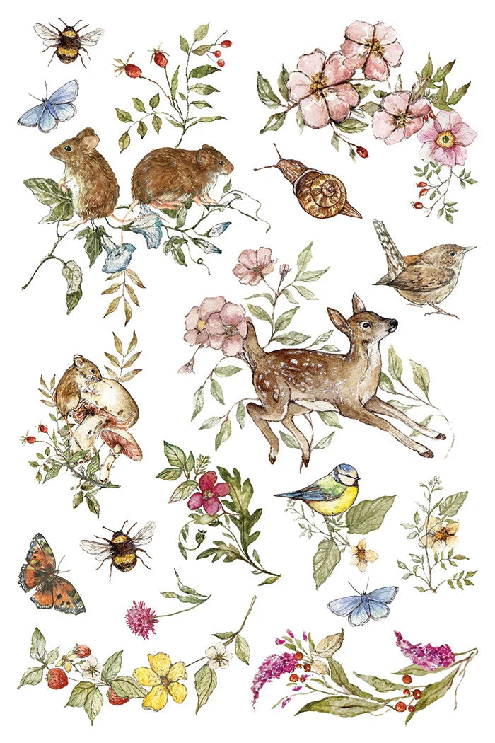 IOD - The Bramblewood Diaries Transfer, 8x12 pad