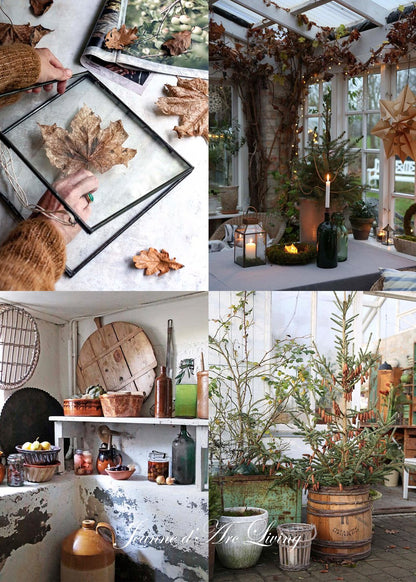 Jeanne d'Arc Living - Moments of Hygge