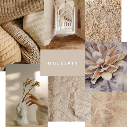 Moleskin - Artisan Mineral Paint