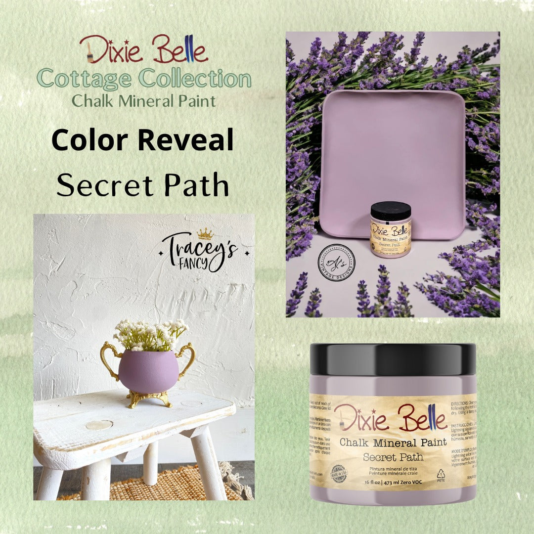 NEW - Secret Path - Dixie Belle Chalk Mineral Paint