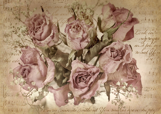Belles & Whistles | Sepia Rose Song Rice Decoupage Paper  (A1)