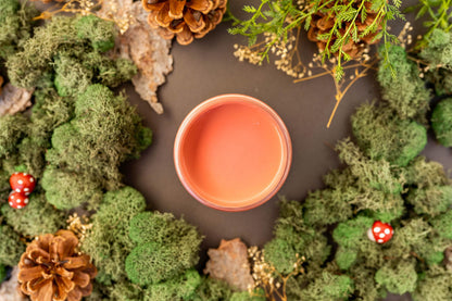 Cottage Door - Dixie Belle Chalk Mineral Paint