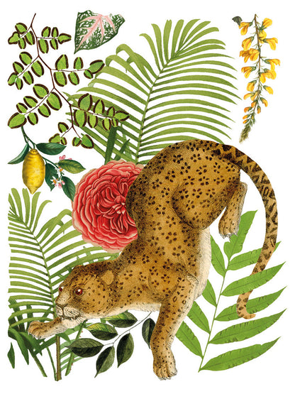 IOD - Bungalow Decor Transfer