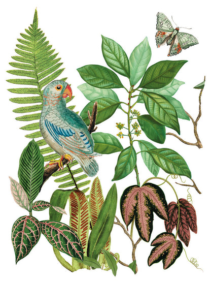 IOD - Bungalow Decor Transfer