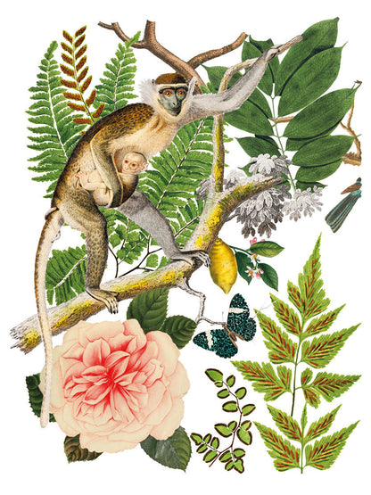 IOD - Bungalow Decor Transfer