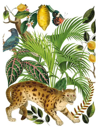 IOD - Bungalow Decor Transfer