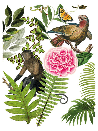 IOD - Bungalow Decor Transfer