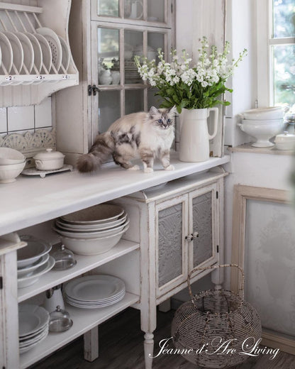 Jeanne d'Arc Living - 4th Issue 2024