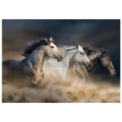 Redesign A1 Decoupage Fiber- Wild Hearts Run Free - 1 SHEET