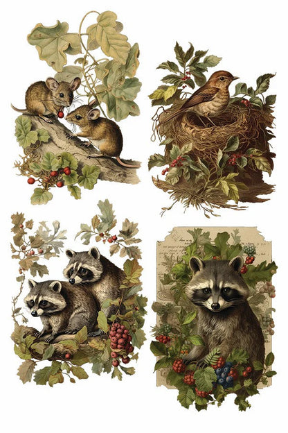 IOD - Holly Glen Decor Transfer Pad