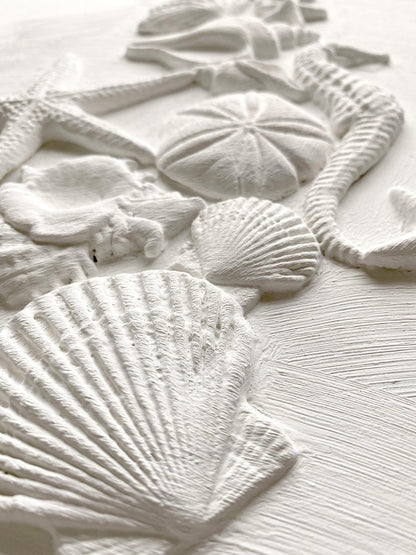 IOD - Sea Shells Decor Mould 6x10