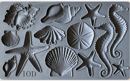 IOD - Sea Shells Decor Mould 6x10
