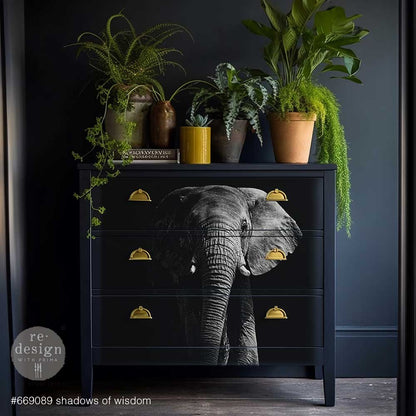 Redesign Decoupage Fiber- Shadows Of Wisdom - 1 sheet