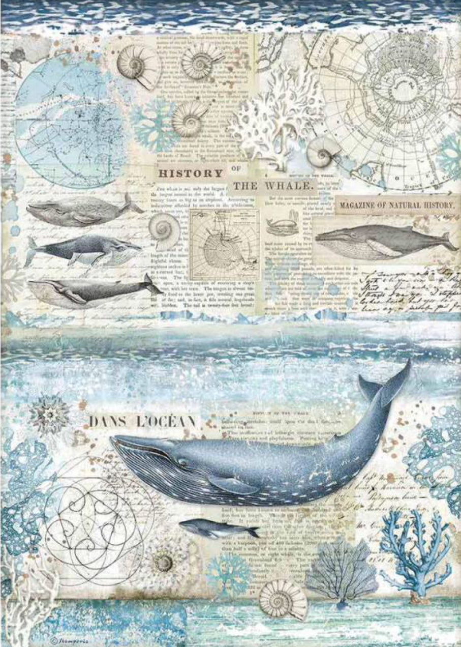 Stamperia Rice Paper -A3 - History of the Whale