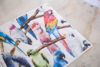 Belles and Whistles | Birds Rice Paper Set
