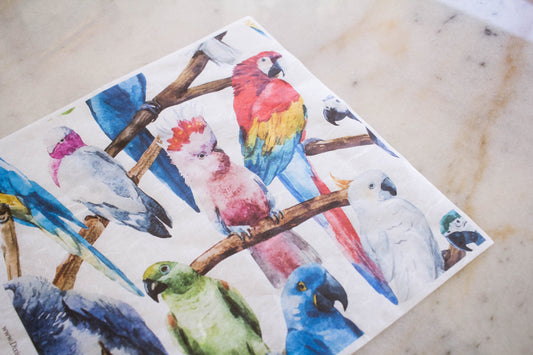 Birds Rice Paper Set