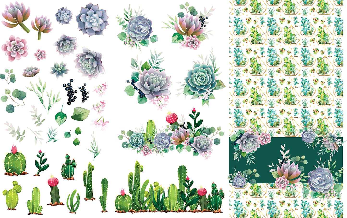 Cacti & Succulents Transfer - Belles & Whistles