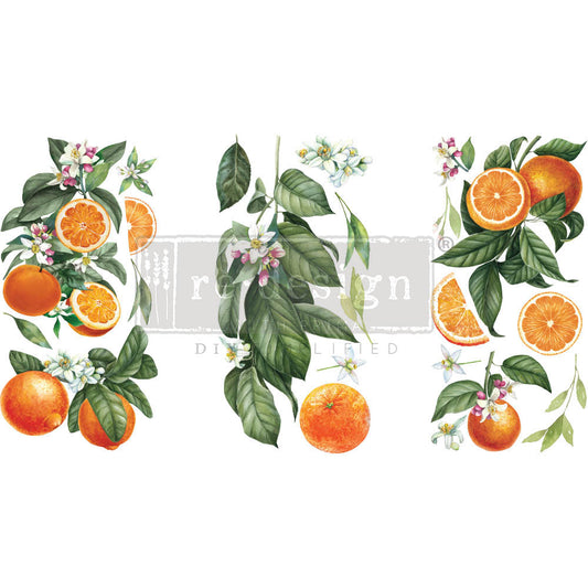 Citrus Slice - Re-design Decor Transfer