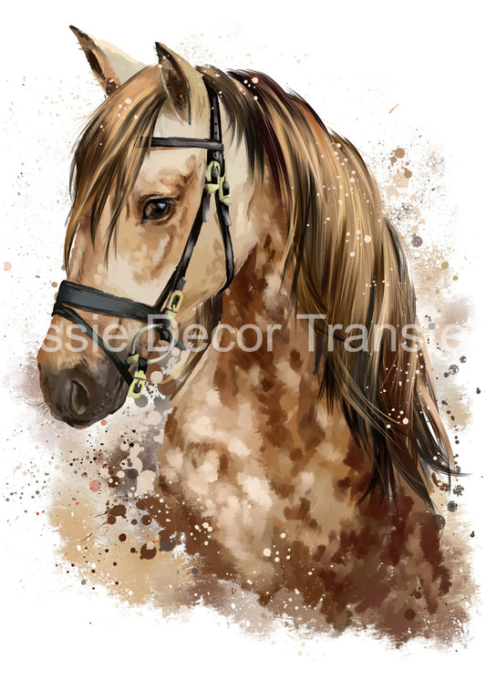 Dappled Brown Pony -  Aussie Decor Poster Print