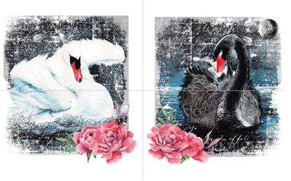 By the Lake - Hokus Pokus Transfer