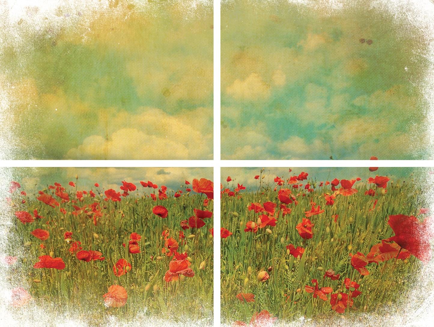 Field of Flowers Transfer - Belles & Whistles